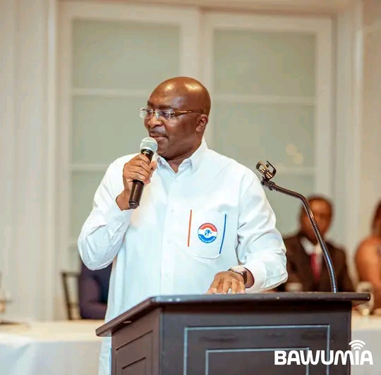 Pictures: Bawumia Hails NPP New York Chapter