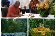 Vanda John Dramani Mahama - A Living Tribute In Singapore