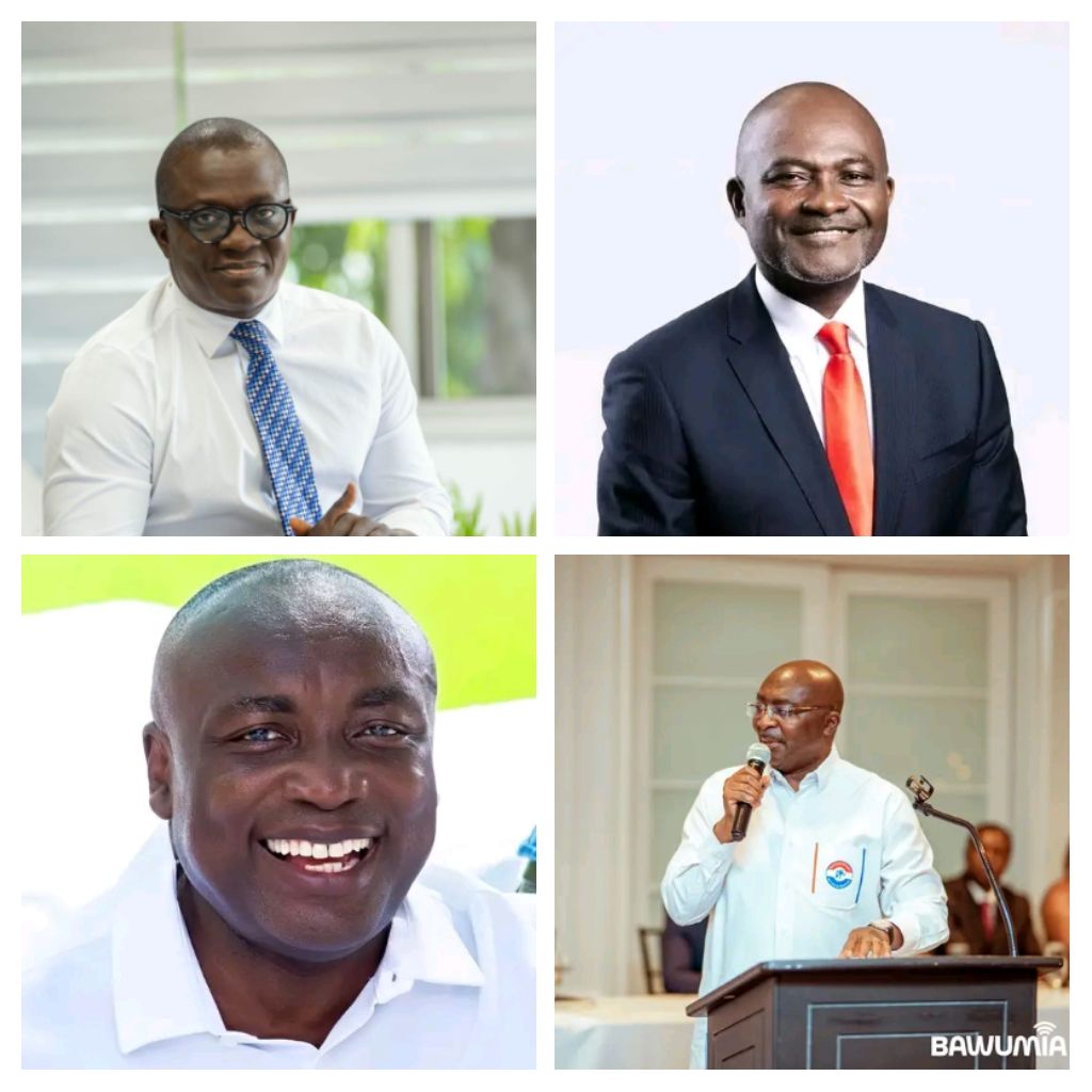 NPP Flagbearer Race Sparks Division