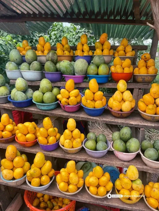 Silent Poison In Mango Fields: New Study Warns Unsafe Pesticide Practices Threaten Farmers’ Lives And Ghana’s Mango Exports