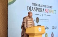 2025 Diaspora Summit Held