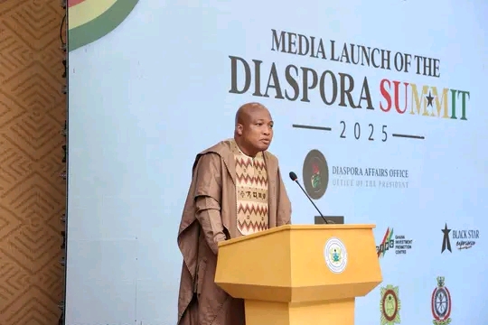 2025 Diaspora Summit Held