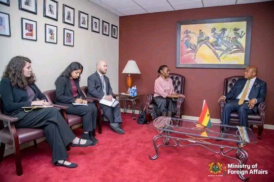 Sub-Region: Mahama Committed To Pursue Pragmatic Strategies To Enhance Peace And Security - Ablakwa