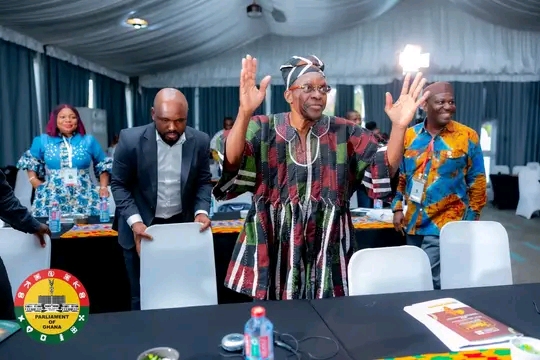 Ghana's Speaker Bagbin Elected President Of APNAC