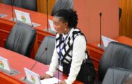 Ewurabena Aubynn Proposes Reforms To Advance Disability Inclusion