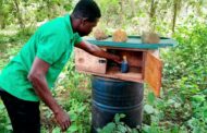 Afram Plains Positioned To Become Ghana’s Leading Honey Production Hub