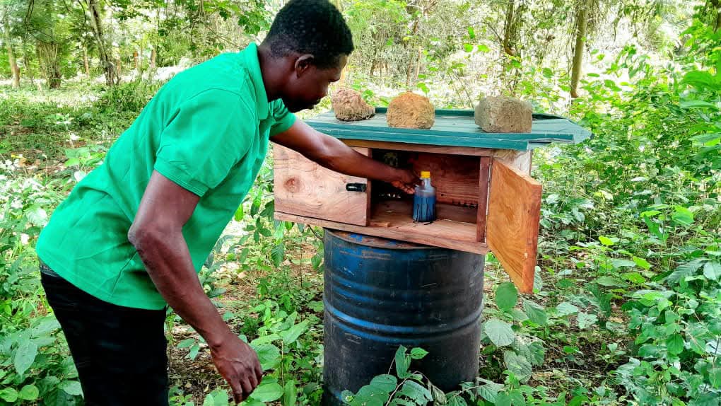 Afram Plains Positioned To Become Ghana’s Leading Honey Production Hub