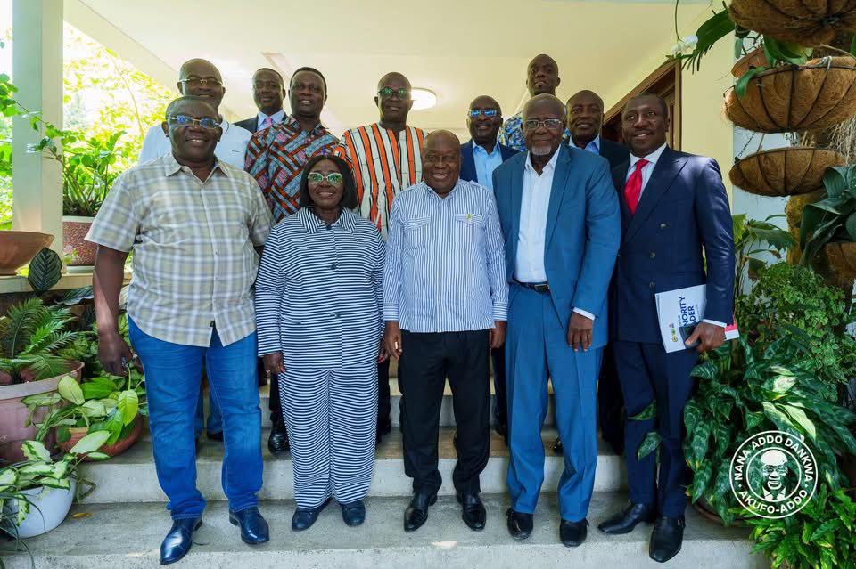 NPP Flagbearership Race: Accept Results Of The Primary On January 31 - Joe Wise