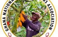 Cocobod Crisis: We Were Expecting It To Be 30 Percent Looking At Their Salaries - GNACOFA President