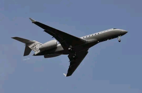 Presidential Jet: Parliament Was Not Informed About Mahama Using Dzata Jet - Akwasi Acquah