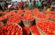 Produce Tomatoes In 90 Days Or Step Aside - FABAG Fires Warning At Agric Ministry