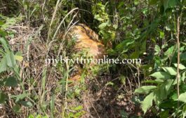 C/R: Fetish Priest Arrested; Residence Set Ablaze After Allegedly Killing His Girlfriend