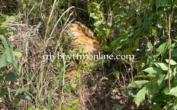 C/R: Fetish Priest Arrested; Residence Set Ablaze After Allegedly Killing His Girlfriend