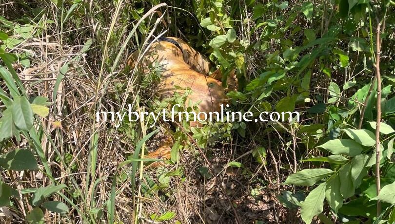 C/R: Fetish Priest Arrested; Residence Set Ablaze After Allegedly Killing His Girlfriend