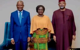 Vice President Calls On Africa To Add Value To Shea Materials Before Export