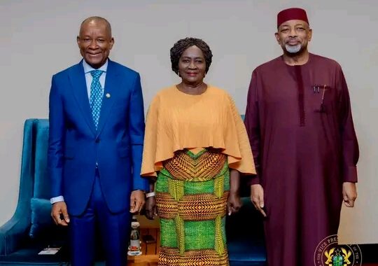 Vice President Calls On Africa To Add Value To Shea Materials Before Export