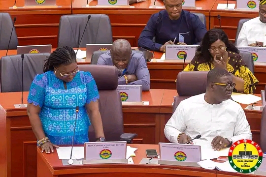 Minister Calls For Support For OGP National Action Plan Implementation