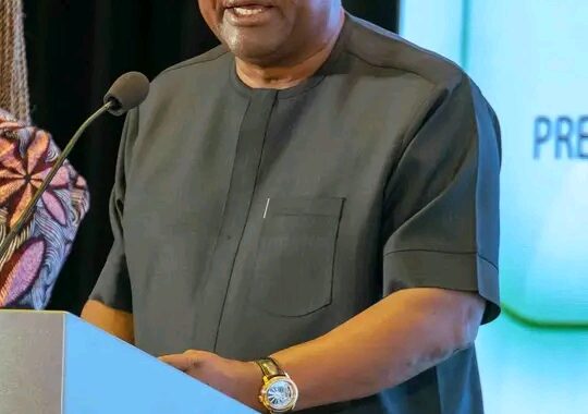 Visa Application Process More Efficient And Accessible - President Mahama