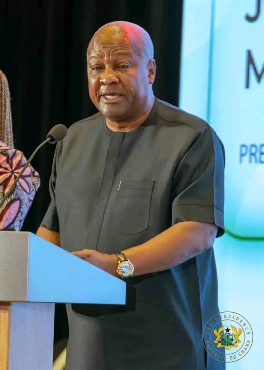 Visa Application Process More Efficient And Accessible - President Mahama