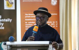 Ghana Losing Fight Against Illegal Mining – Ghana Chamber Of Mines Warns