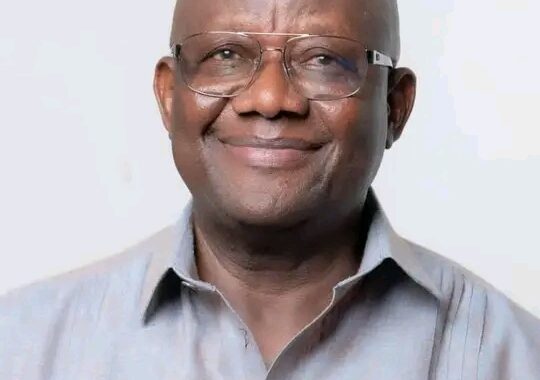 Look Beyond Old Divisions And Focus On Building A Political Culture - Paul Afoko To NPP Members