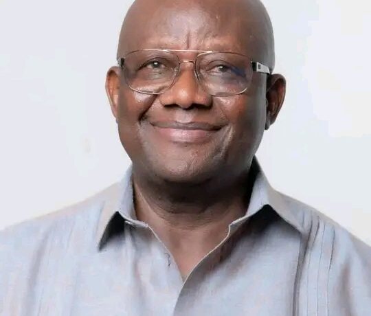 Look Beyond Old Divisions And Focus On Building A Political Culture - Paul Afoko To NPP Members