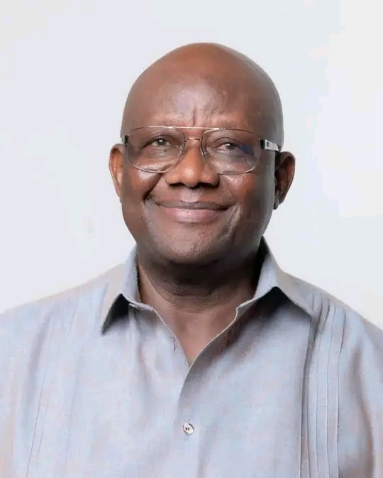 Look Beyond Old Divisions And Focus On Building A Political Culture - Paul Afoko To NPP Members