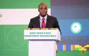 Deputy Finance Minister courts Investors To Transform Ghana’s Rice Economy