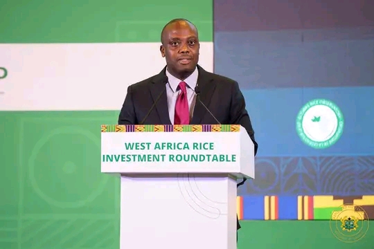 Deputy Finance Minister courts Investors To Transform Ghana’s Rice Economy