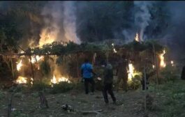 DLEU Set Ablaze Six Acres Of Cannabis Farm In Yilo Krobo