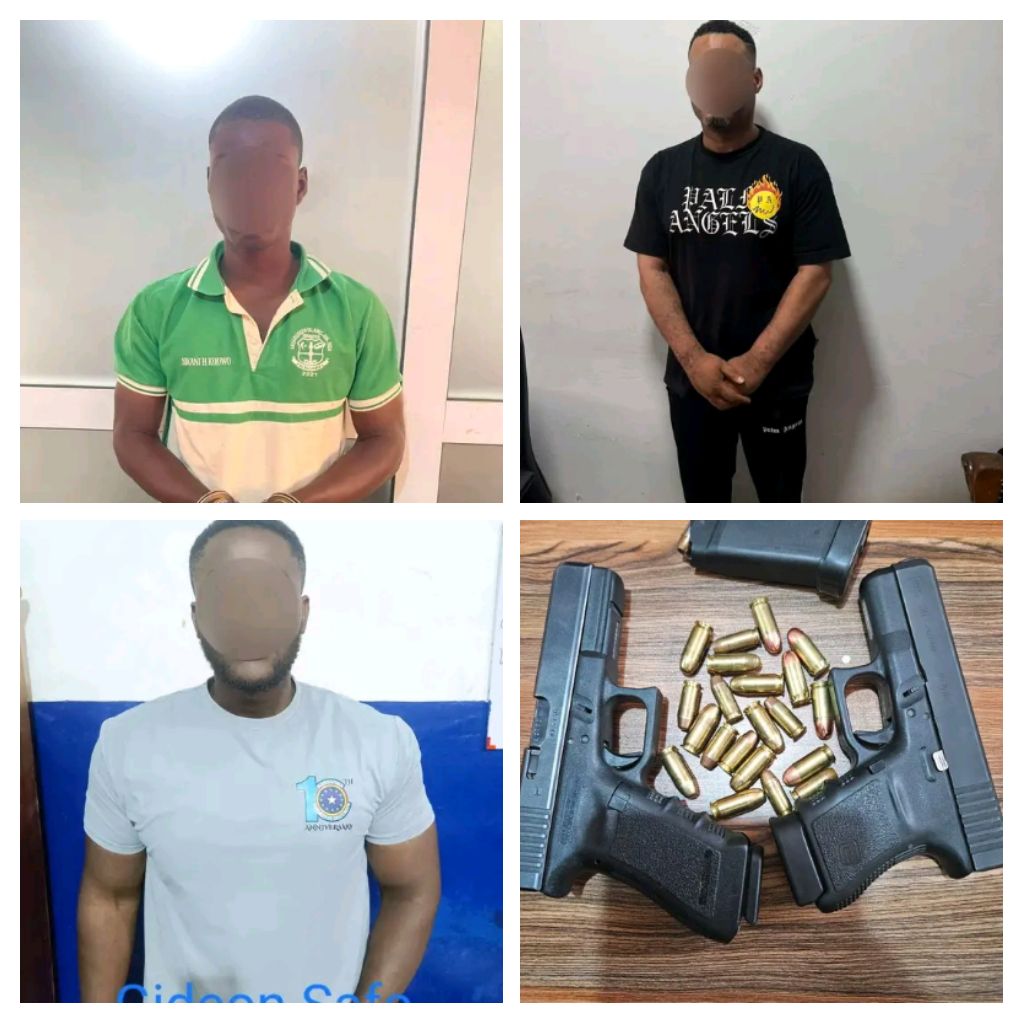 Police Arrest Kwadwo Safo Akofena, Two Others In Connection Shooting Incident Involving Adwoa Safo