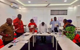 Full List: NPP Inaugurates National Elections Committee