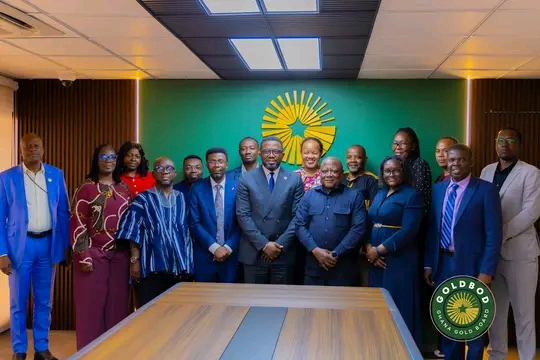 Namibia's Mines And Energy Delegation Learn From GoldBod