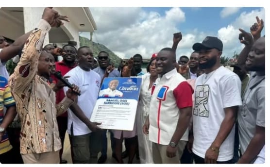 NPP Eastern Youth Leadership Celebrates SOS After Decisive Regional Election Victory