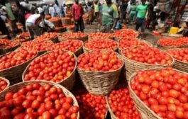 Tomatoes, Rent And Ginger Drive Ghana’s 5.2% Inflation In September
