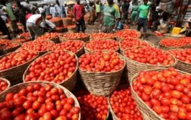 Tomatoes, Rent And Ginger Drive Ghana’s 5.2% Inflation In September