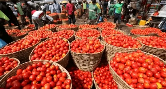 Tomatoes, Rent And Ginger Drive Ghana’s 5.2% Inflation In September